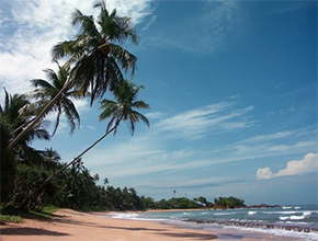 Bentota