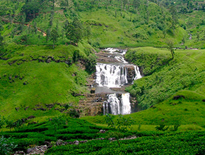 Nuwara Eliya